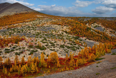 Similar image 21687408