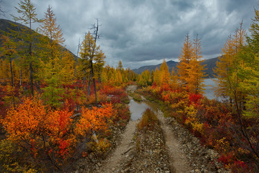 Similar image 21687411