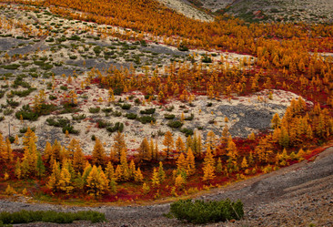 Similar image 21687412