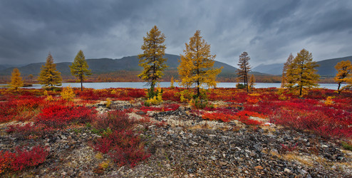 Similar image 21687413