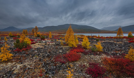 Similar image 21687415