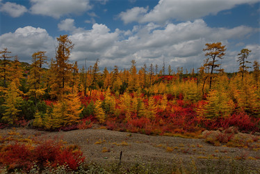 Similar image 21687416