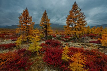 Similar image 21687417