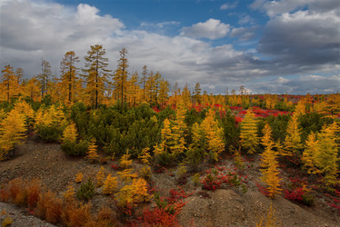 Similar image 21687418