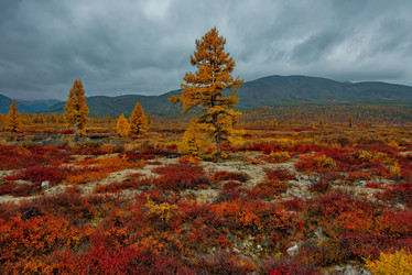 Similar image 21687419