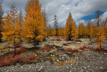 Similar image 21687420