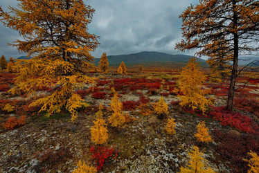 Similar image 21687421