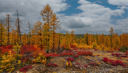 Similar image 21687422