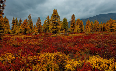 Similar image 21687423