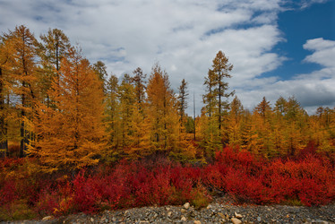 Similar image 21687424