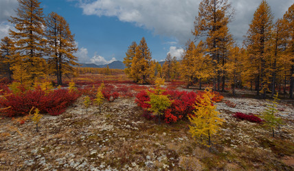 Similar image 21687427