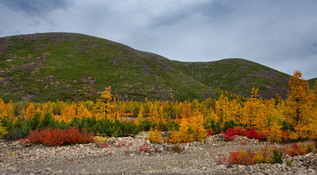 Similar image 21687428