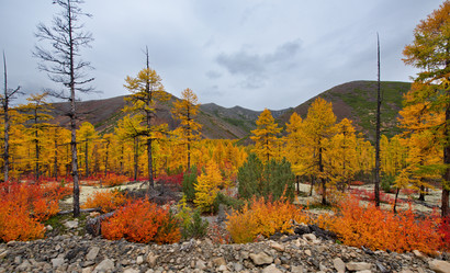 Similar image 21687430