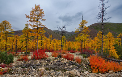 Similar image 21687432