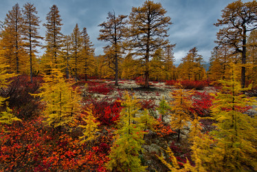 Similar image 21687433