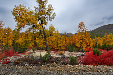 Similar image 21687434