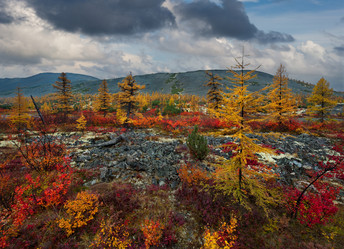 Similar image 21687435