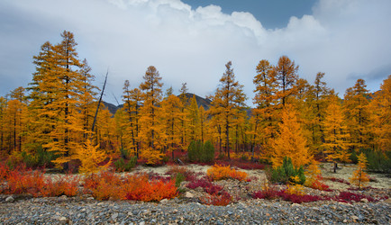 Similar image 21687436