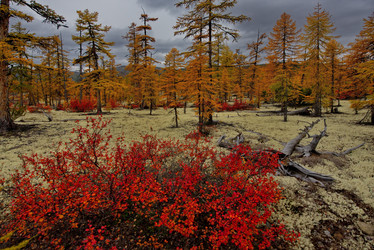 Similar image 21687440