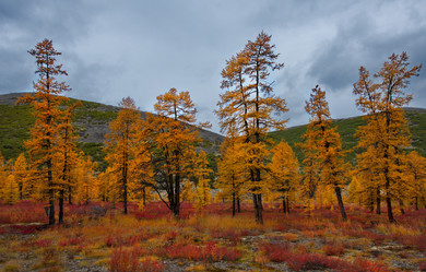 Similar image 21687442