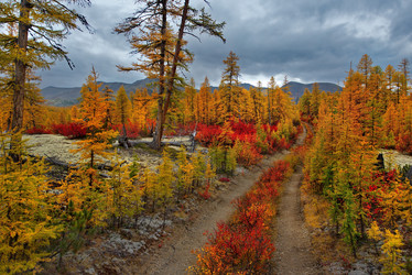 Similar image 21687444