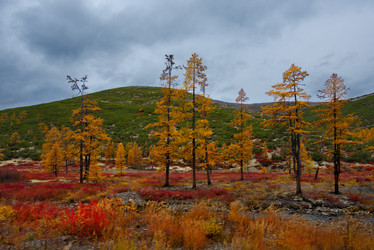 Similar image 21687446