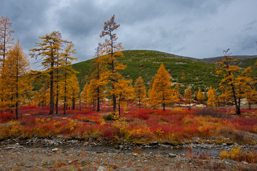 Similar image 21687448