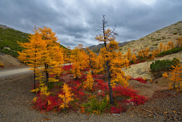 Similar image 21687449