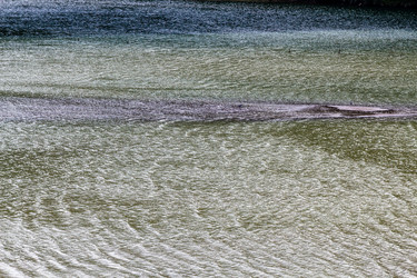 Similar image 21687450