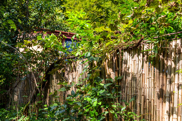 Similar image 21687456