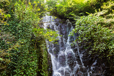 Similar image 21687461