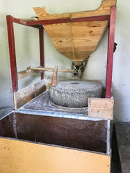 Similar image 21687462