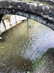 Similar image 21687463