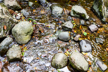 Similar image 21687464