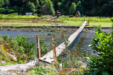 Similar image 21687624