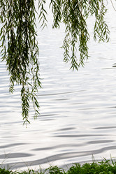 Similar image 21687633