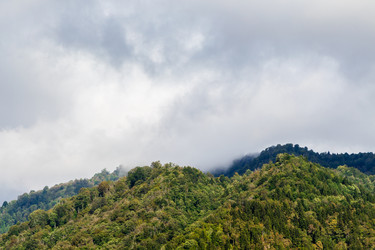 Similar image 21687640