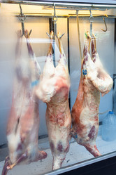 Similar image 21687645