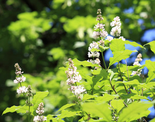 Similar image 21692814