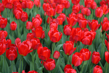 Similar image 21692827