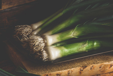 Similar image 21690054