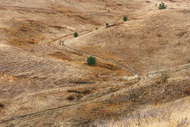 Similar image 21690061