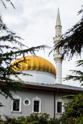 Similar image 21689254