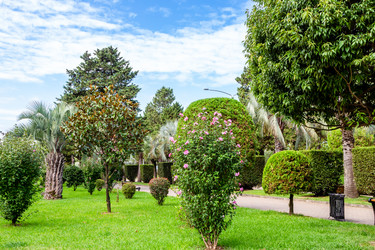 Similar image 21689515