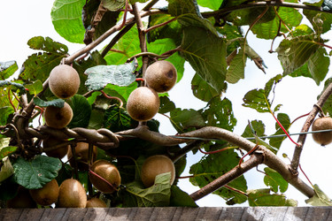 Similar image 21689527