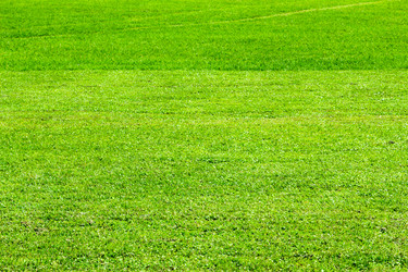 Similar image 21689528