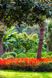 Similar image 21689530