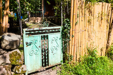 Similar image 21689537