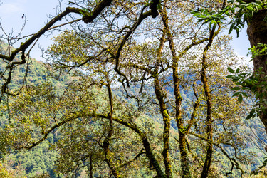 Similar image 21689538