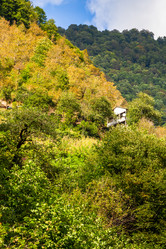 Similar image 21689546